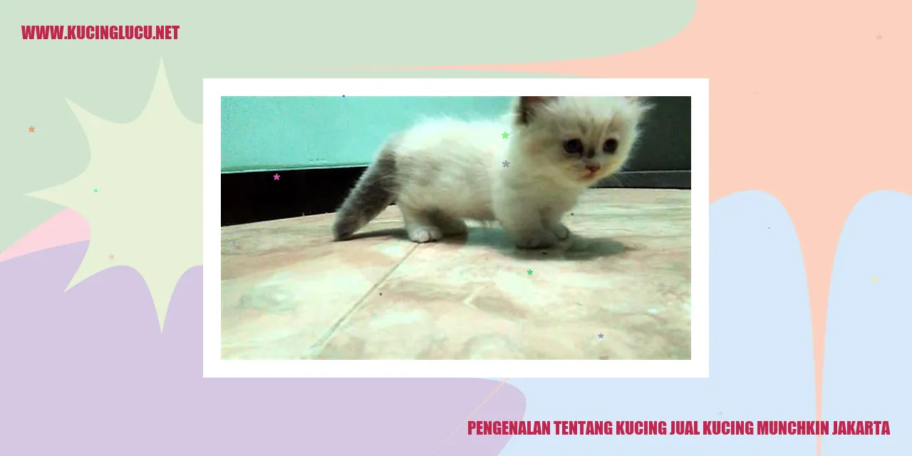 Gambar Munchkin