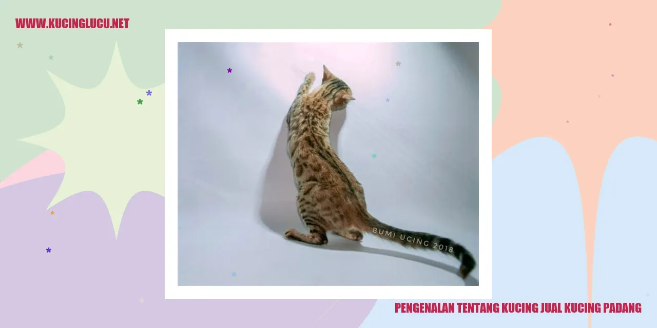 Ilustrasi Kucing