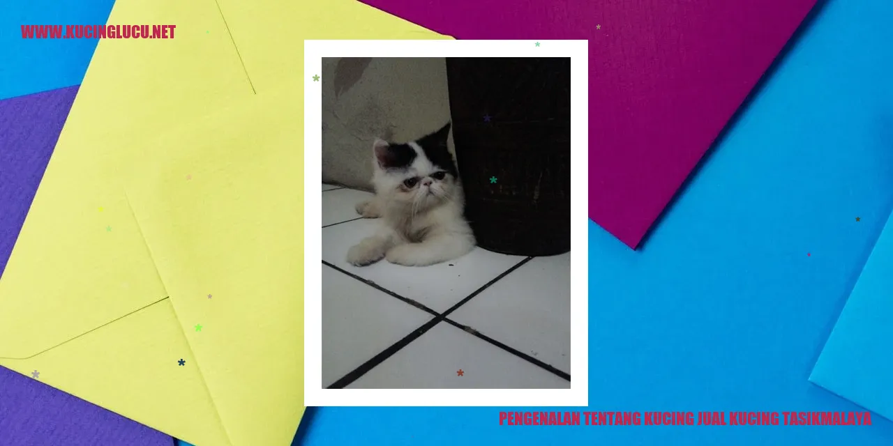 Gambar Kucing