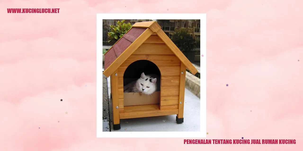 Foto Kucing yang Tersedia di Pusat Penjualan Kucing