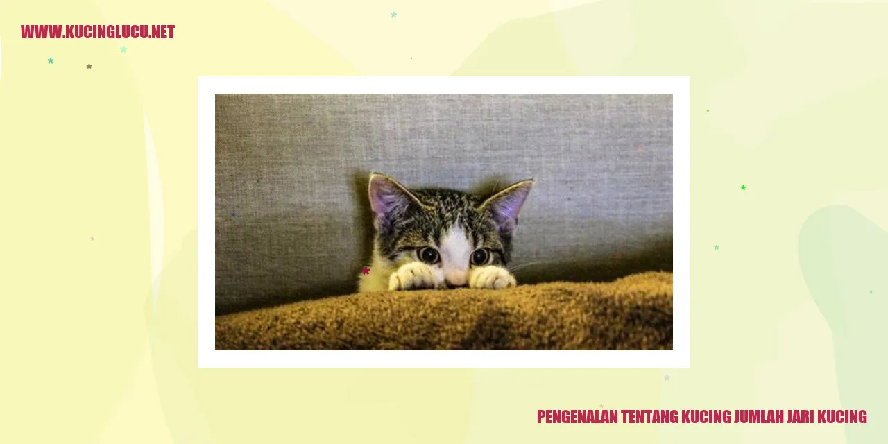 Aneka Wujud Kucing dengan Banyak Jari