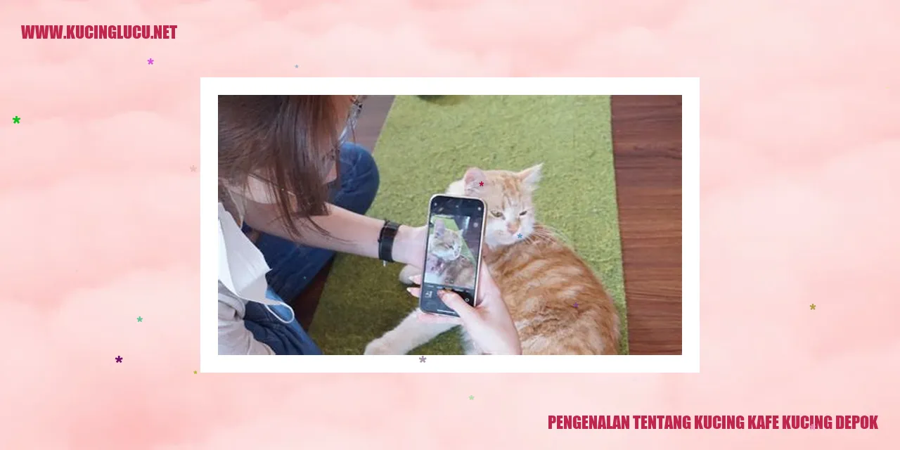 Gambar Kafe Kucing Depok