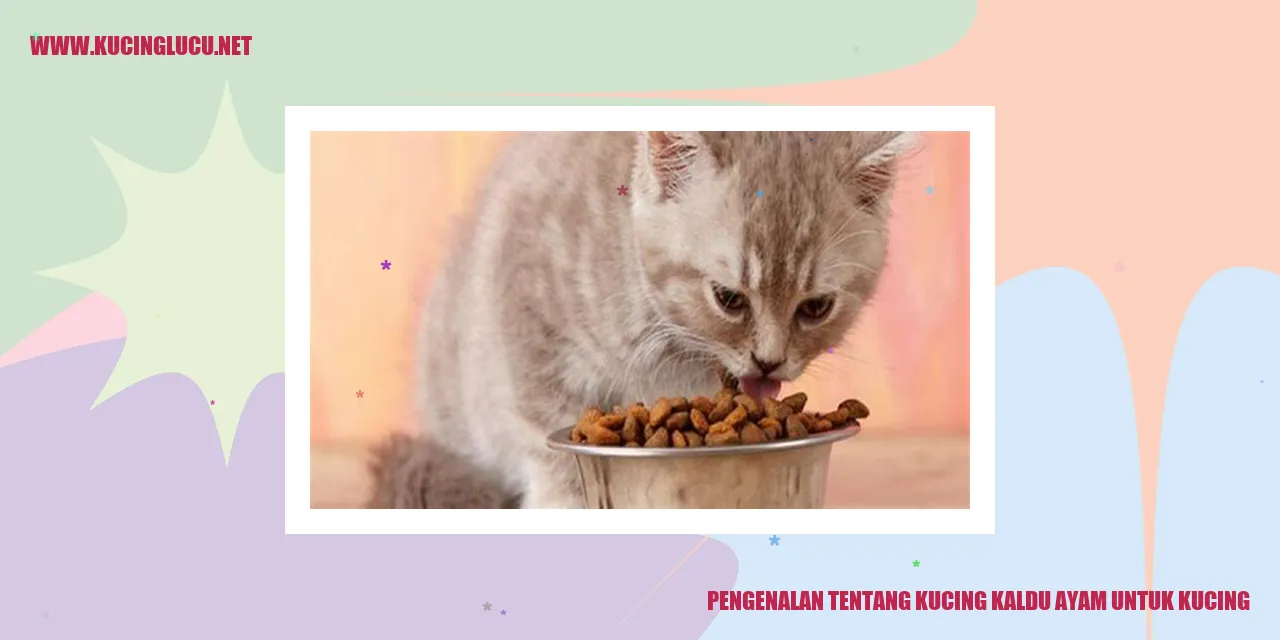 Kucing kaldu ayam
