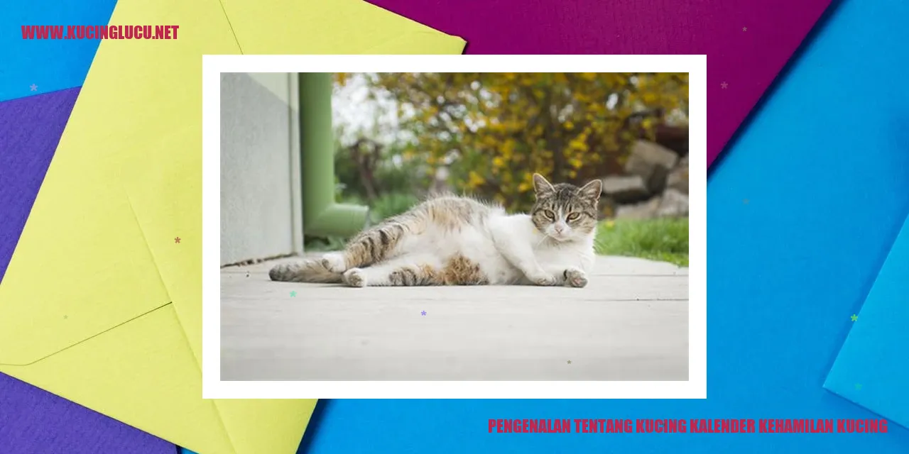 Kucing hamil