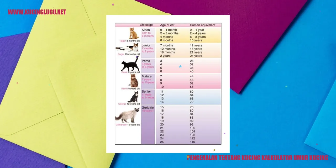Kucing Lucu