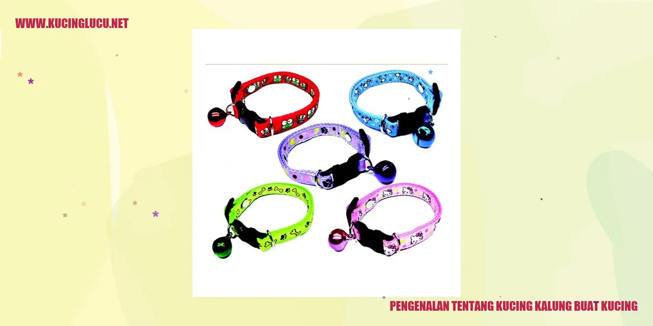 Pengenalan mengenai Kucing Kalung buat kucing