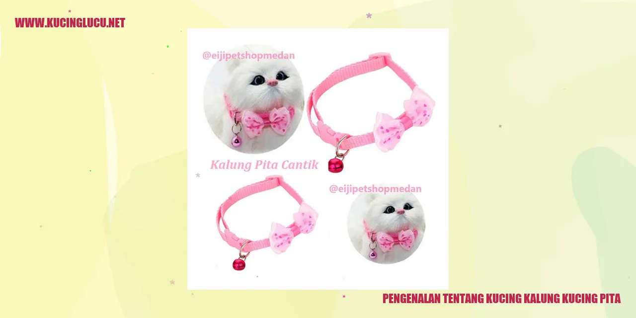 Kucing Kalung Kucing Pita