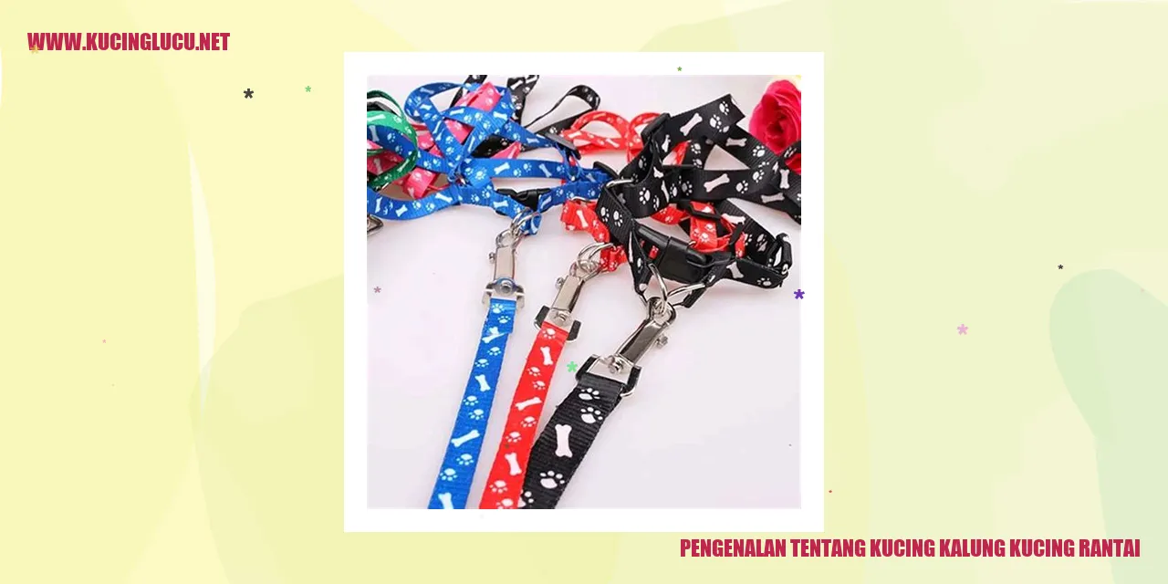 Kucing Berkalung dan Berharness