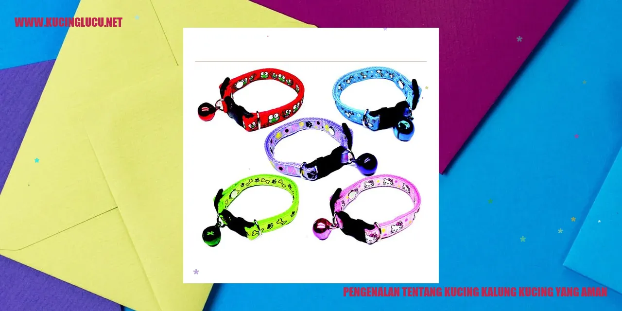 Kucing Kalung Kucing yang Aman