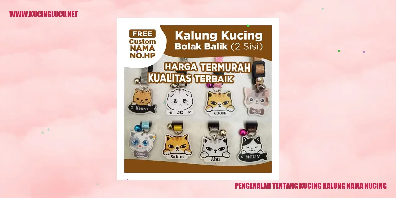 Gambar Kucing Kalung