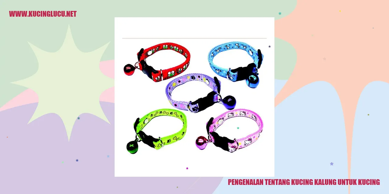 Kucing Kalung