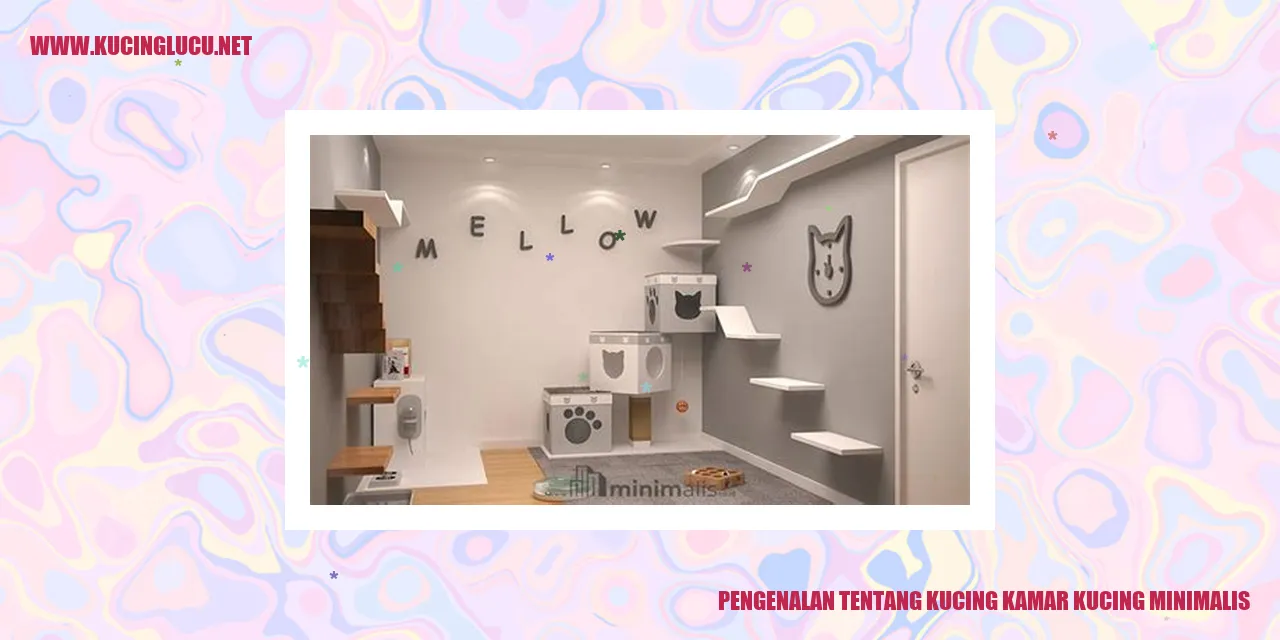 Potret Kucing Kamar Kucing Minimalis