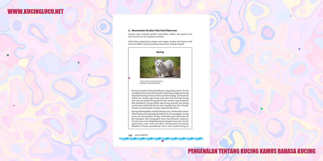 Gambar seekor kucing