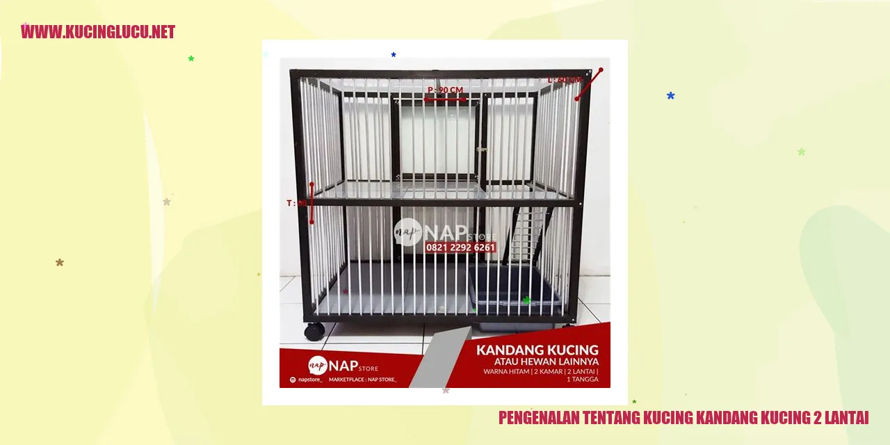 Kucing kandang kucing 2 lantai