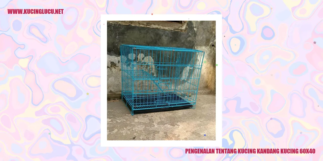 Kandang Kucing
