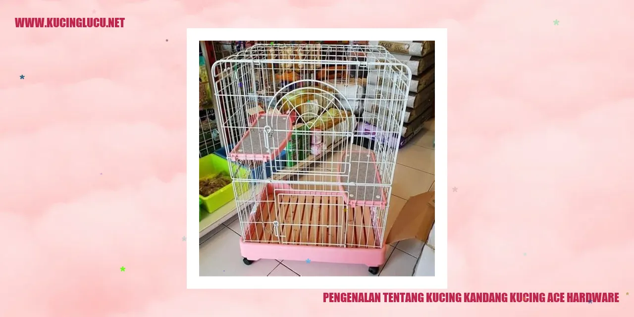 Gambar Kucing Kandang Ace Hardware