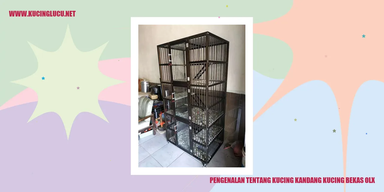 Kucing Kandang Bekas OLX
