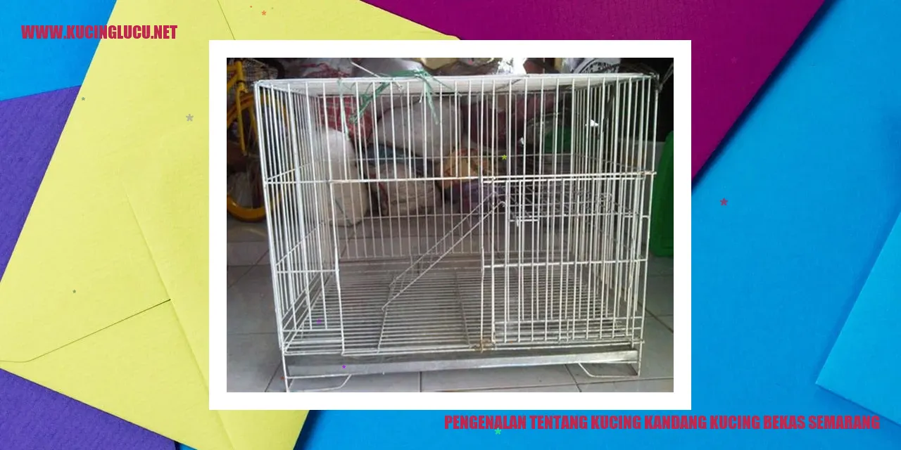 Kucing Kandang Kucing Bekas Semarang