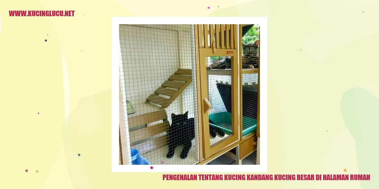 Gambar kucing