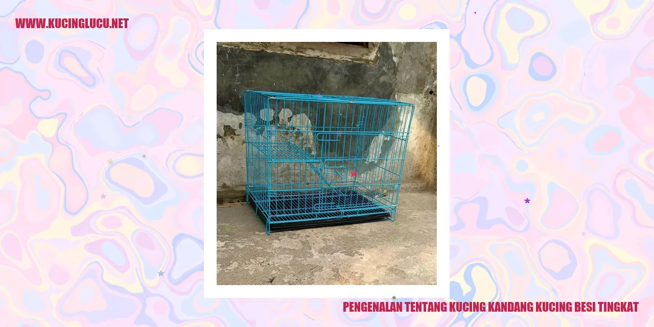 Kucing Kandang Kucing Besi Tingkat