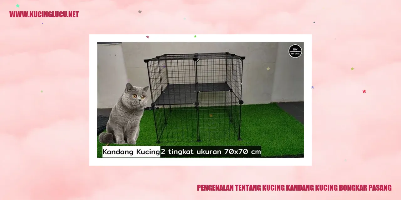 Gambar kucing bongkar pasang