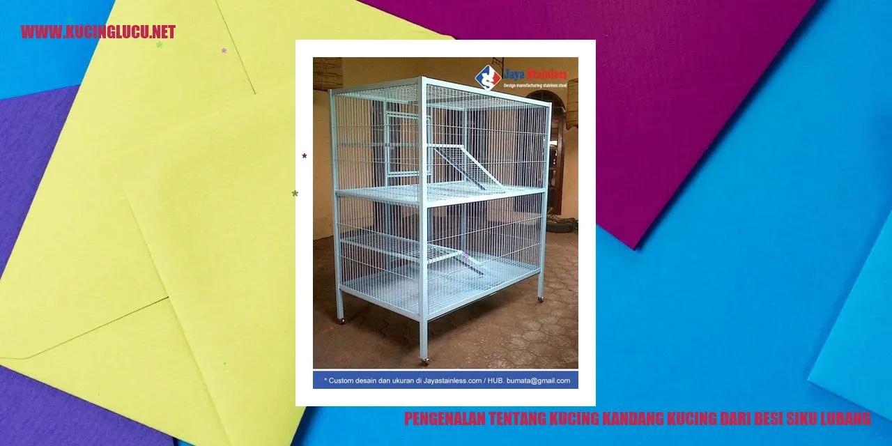 Gambar Kucing Kandang