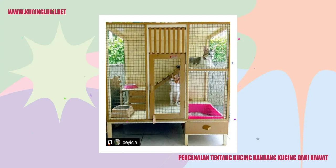 Ragam Kucing di Kandang dengan Pewarnaan Rampal Seitunggal