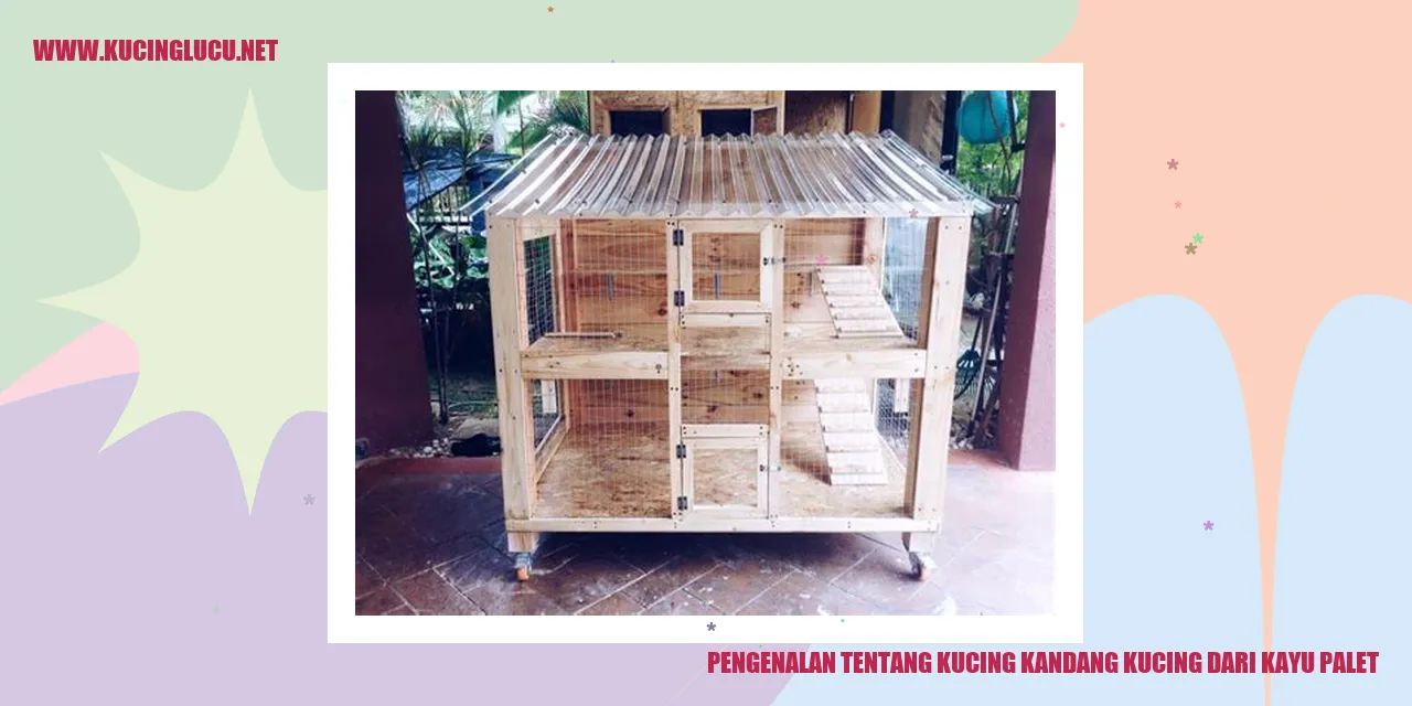 Gambar kucing kandang kayu palet