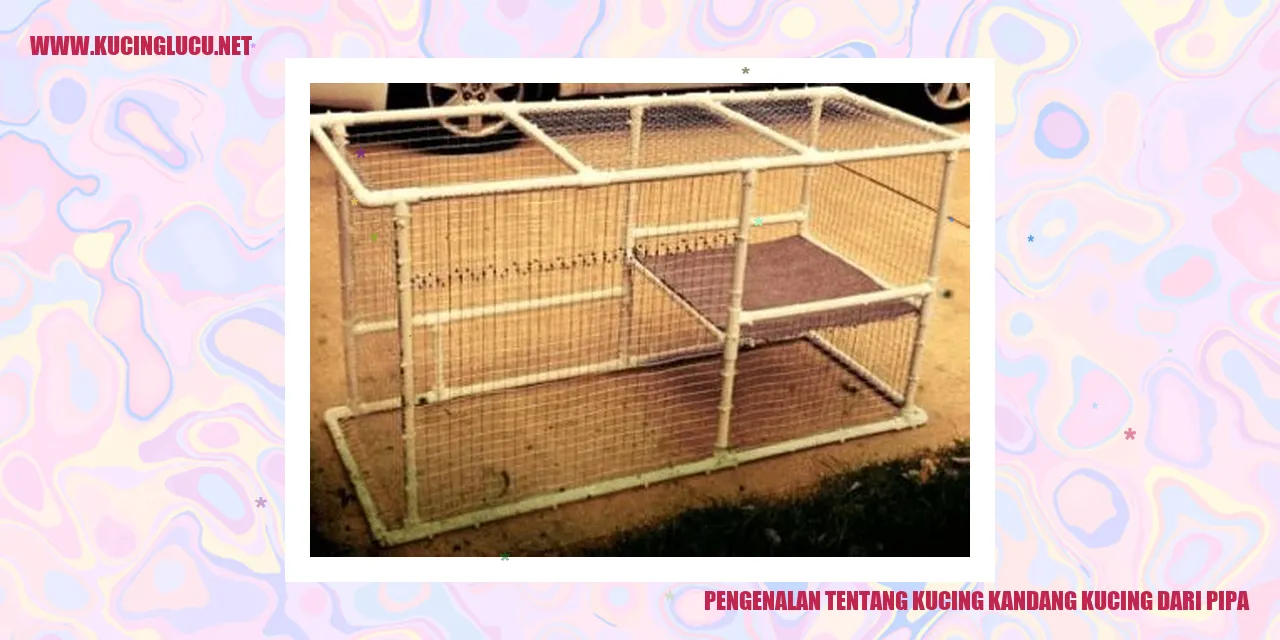 Foto Kucing Kandang