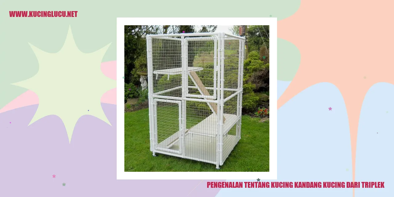 Kucing Kandang Kucing dari Triplek