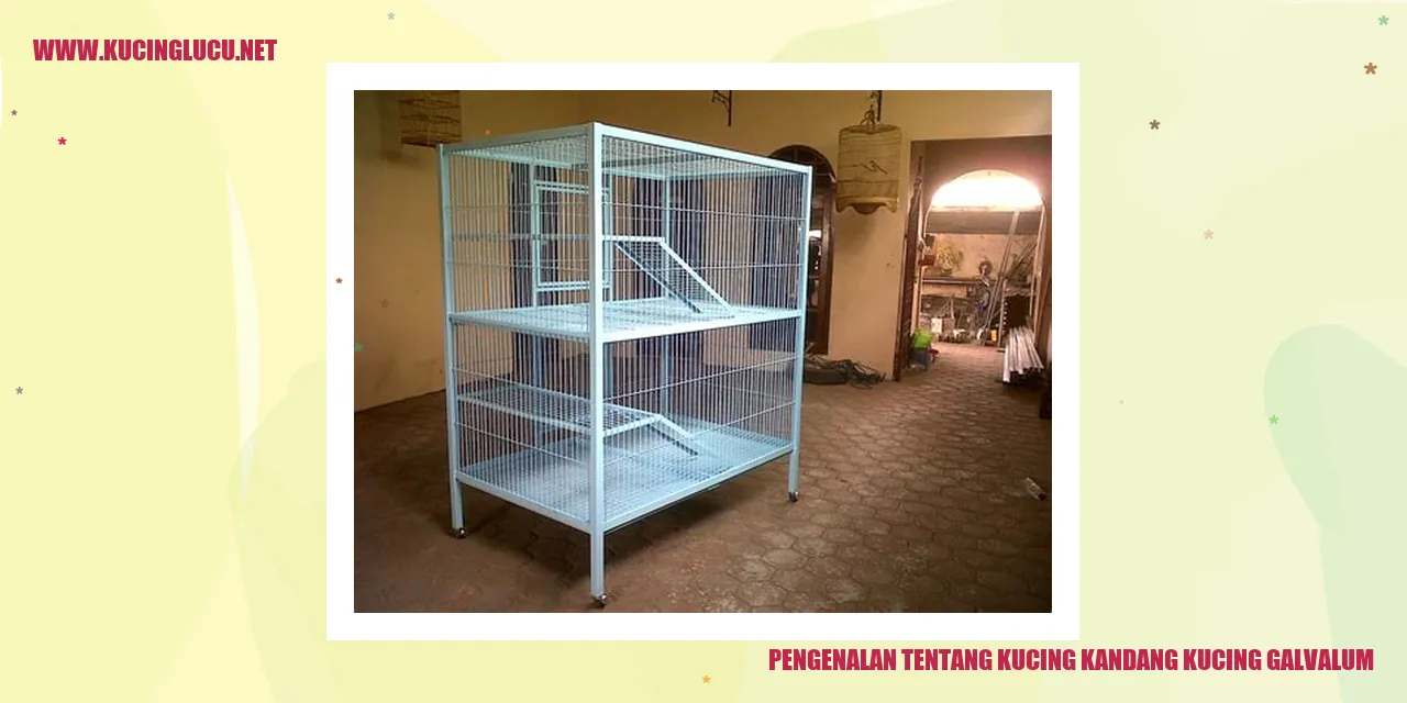 Kucing Galvalum