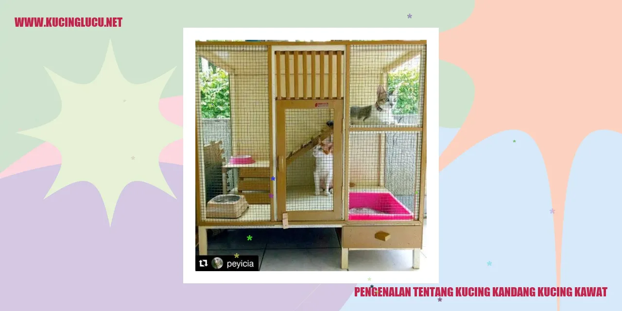 Gambar kucing kawat
