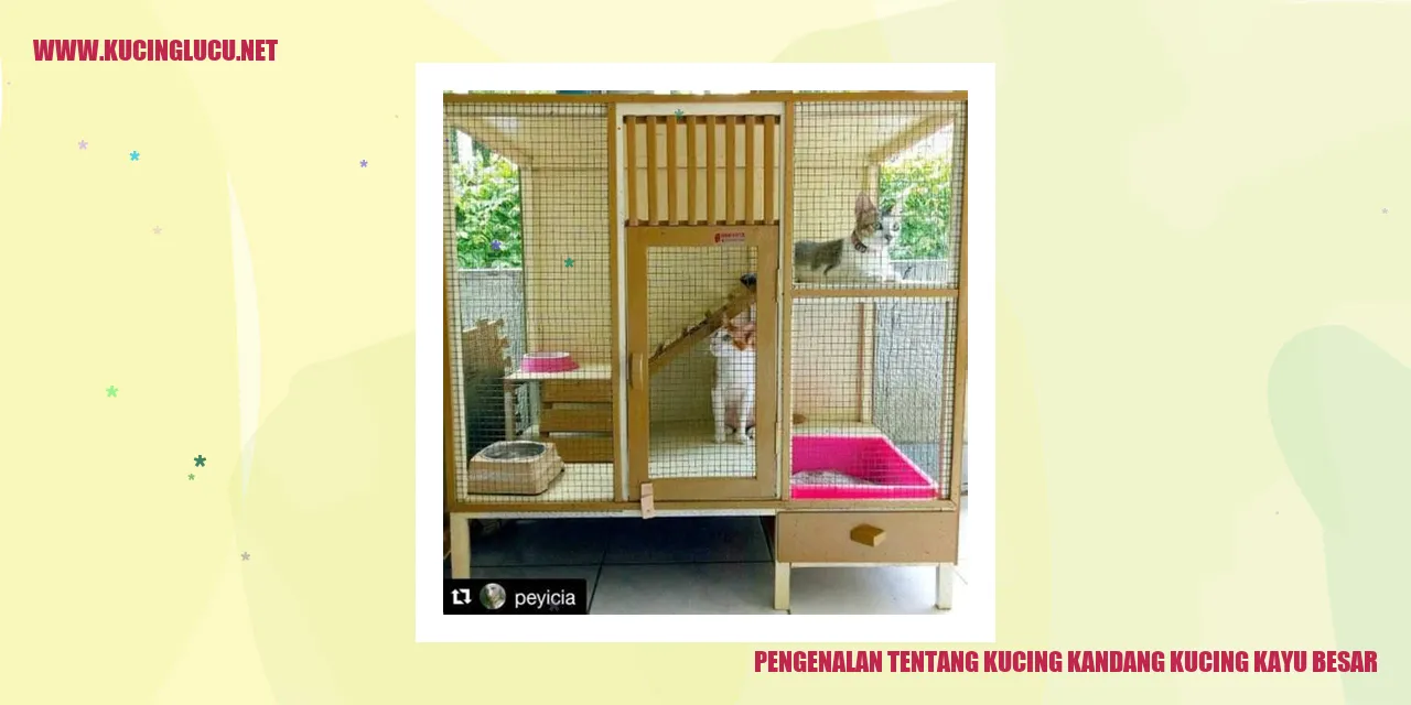 Gambar kucing kandang kucing kayu besar