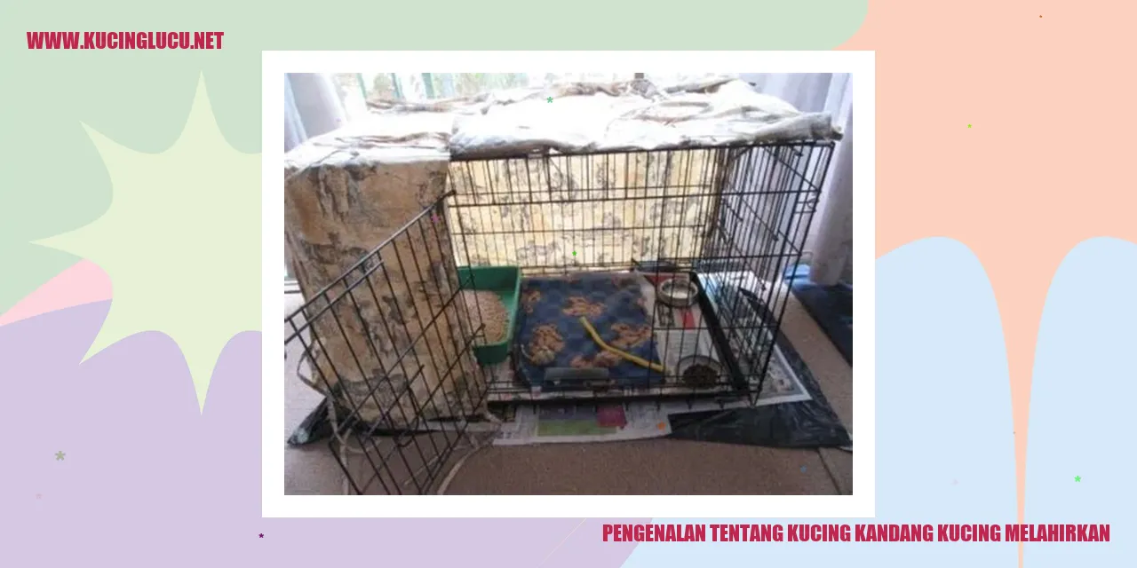 Kucing melahirkan