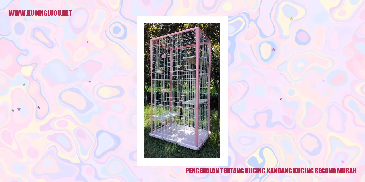 Gambar Kucing Kandang Kucing Second Murah