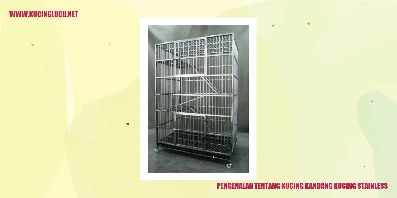 Gambar Kucing Stainless