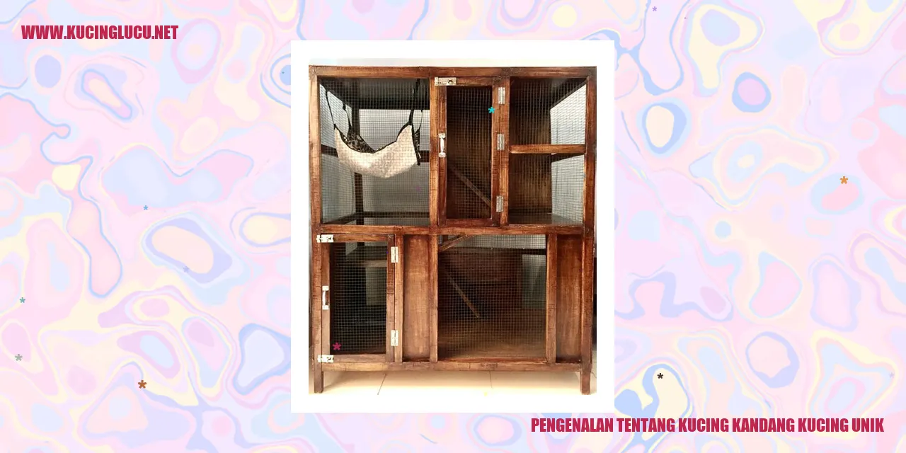 Gambar Kucing Kandang