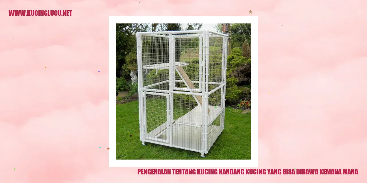 Kucing Kandang yang Dapat Dibawa Kemana-mana