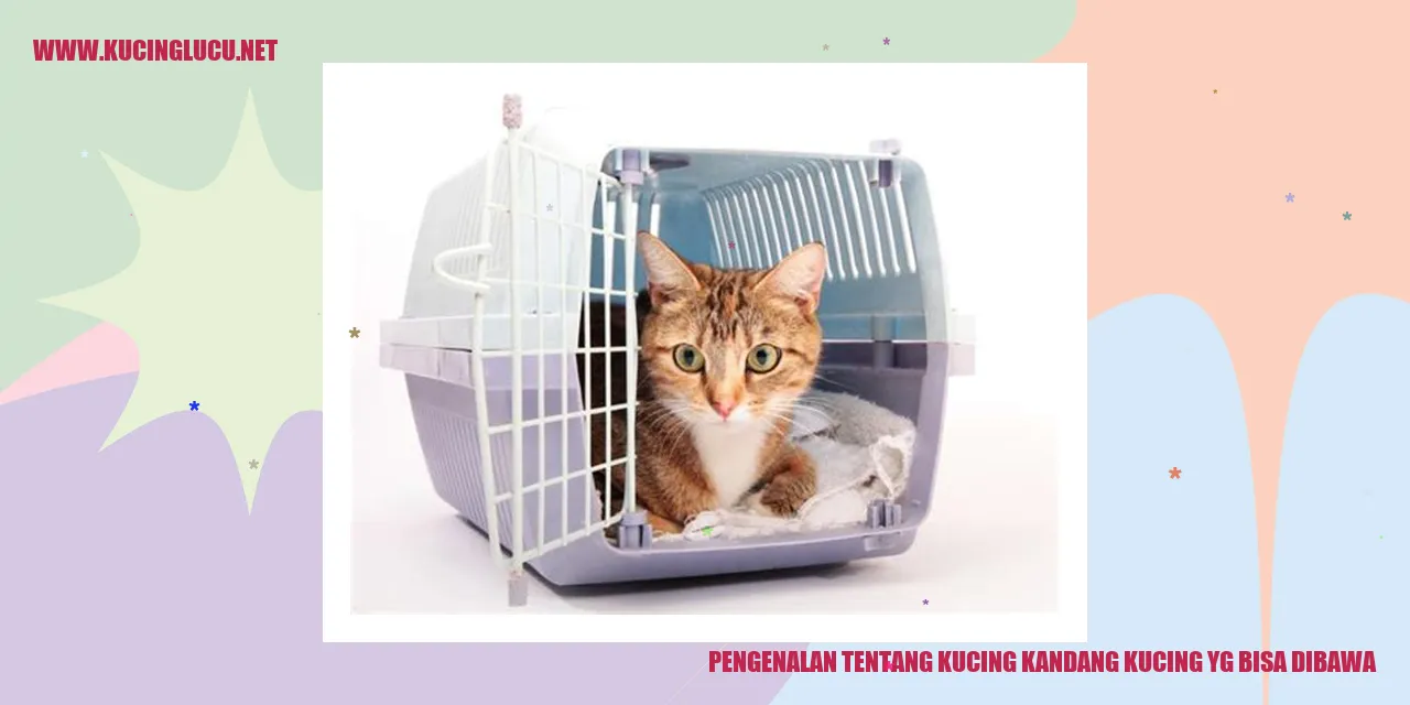 Gambar Kucing Kandang Bisa Dibawa