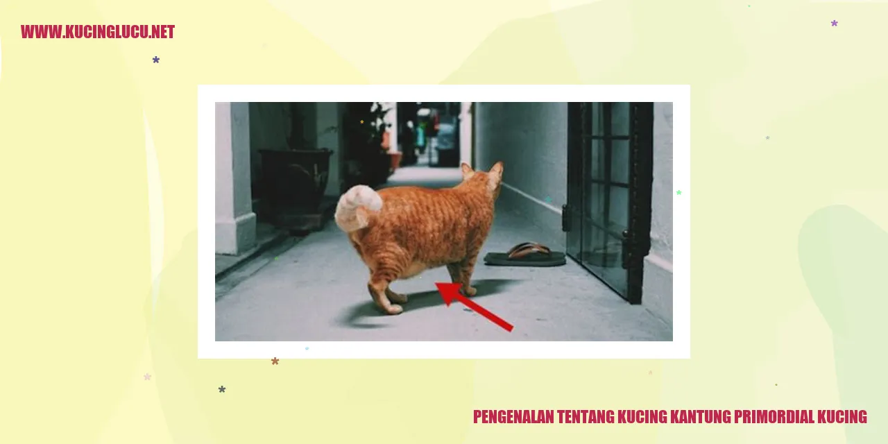 Kucing Kantung Primordial Kucing