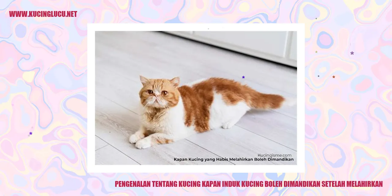 Kucing dan Anak Kucing