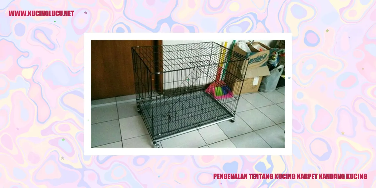 Kucing Karpet Kandang Kucing