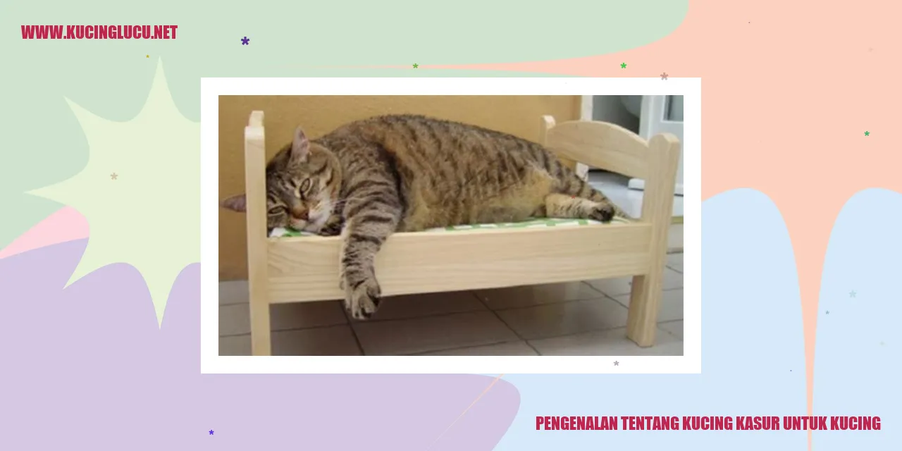 Kucing Kasur untuk Kucing