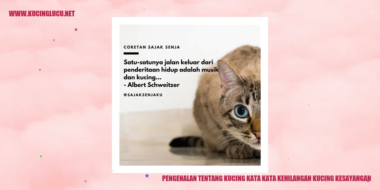 Kehilangan Kucing Kesayangan