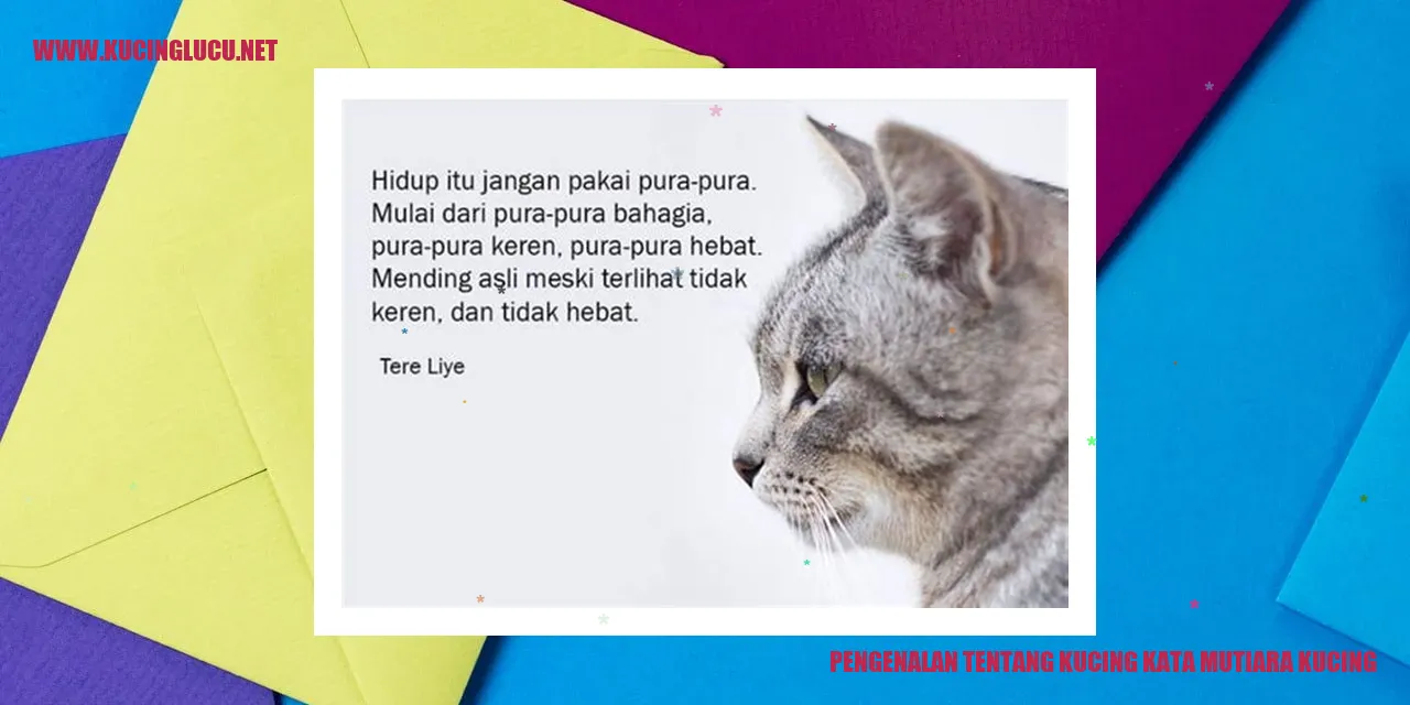 Pengenalan tentang Kucing kata mutiara kucing