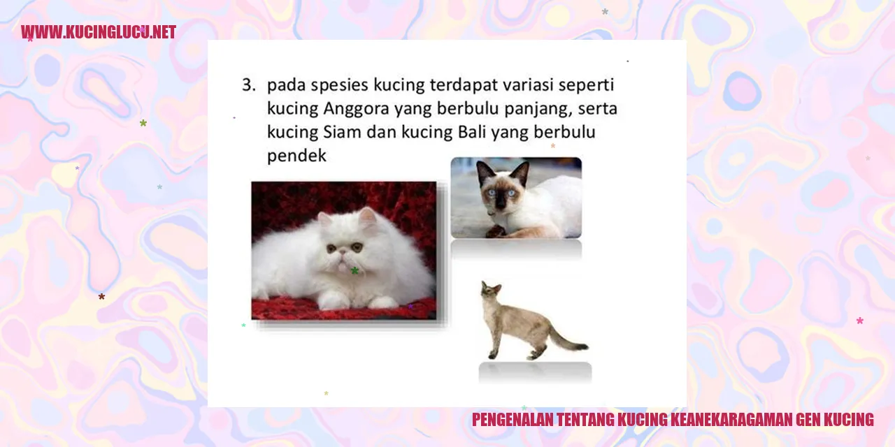 Keanekaragaman Gen Kucing