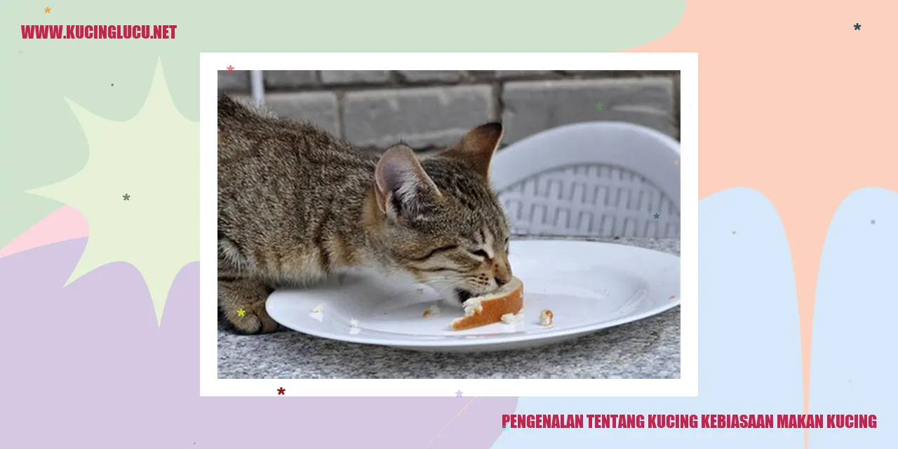 Gambar Kucing yang Menggemaskan