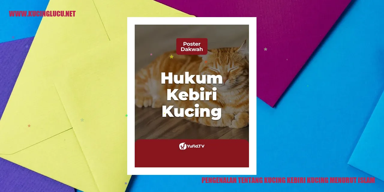 gambar kucing suci menurut Islam