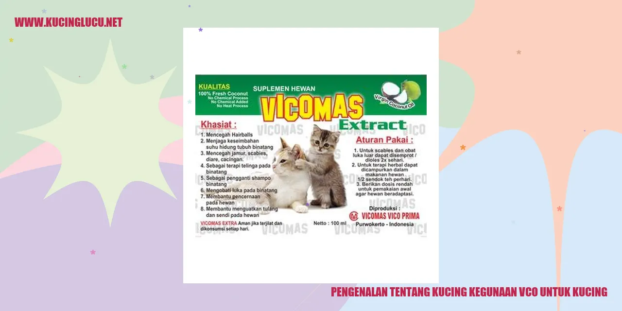 gambar kucing menggemaskan