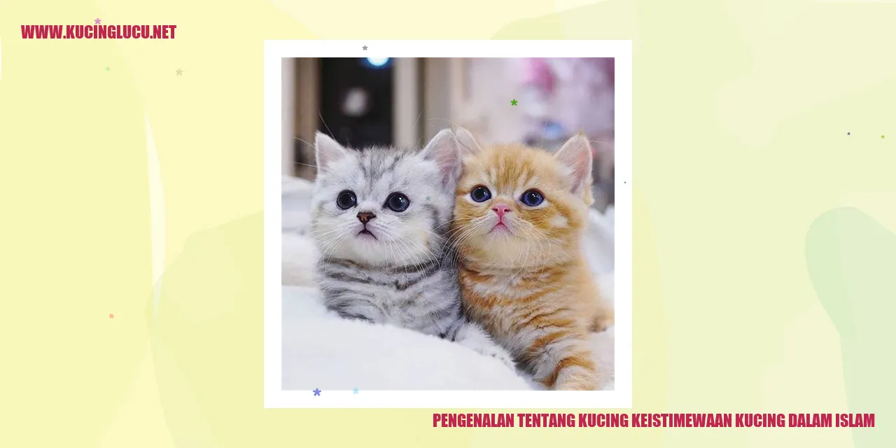 Gambar Kucing